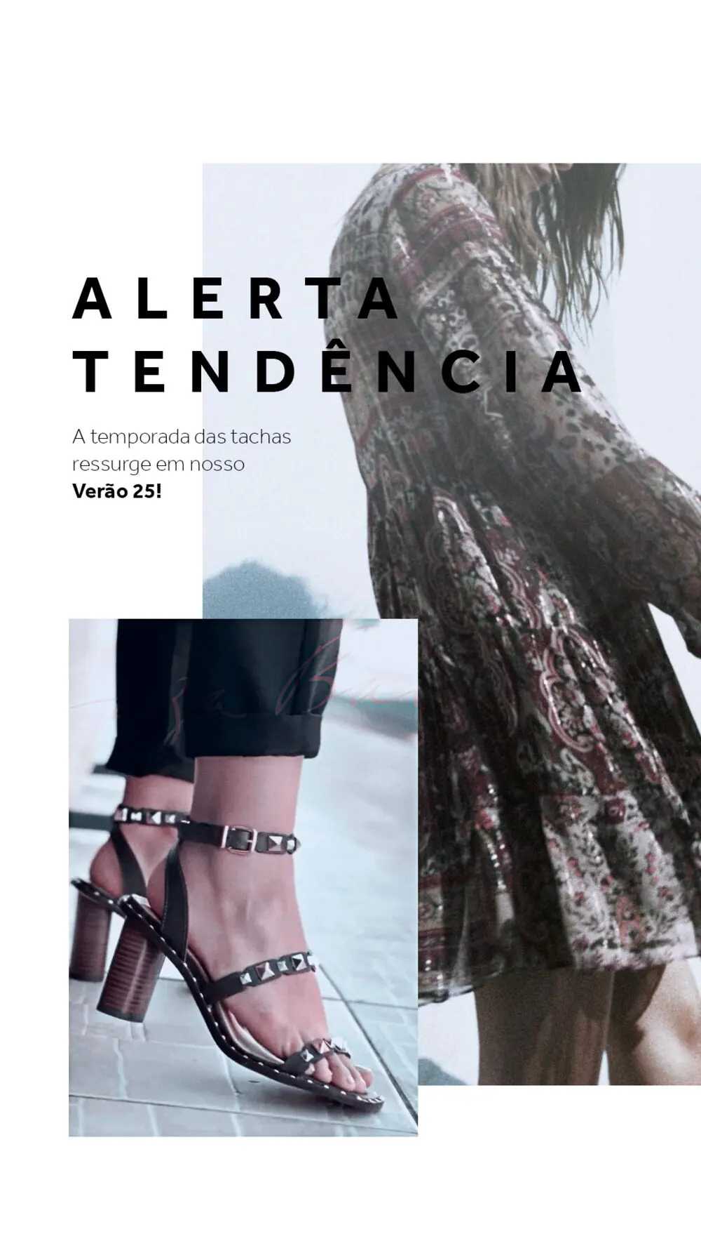 Trend Alert, detalhe do projeto